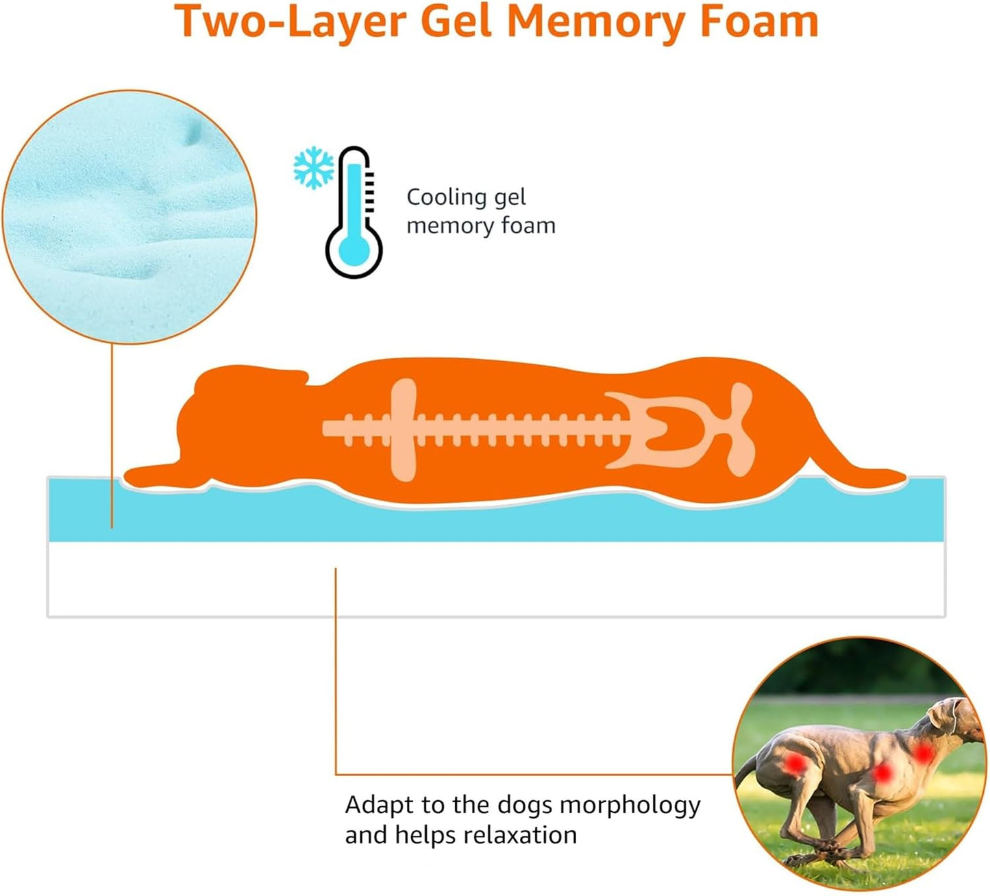 Amazon Basics Dog Bed with Cooling Gel Memory Foam, Pressure-Relief Support for Dogs up to 50lbs, Non-Slip Bottom, Machine Washable Cover, Large Sized (35" x 22"), Grey