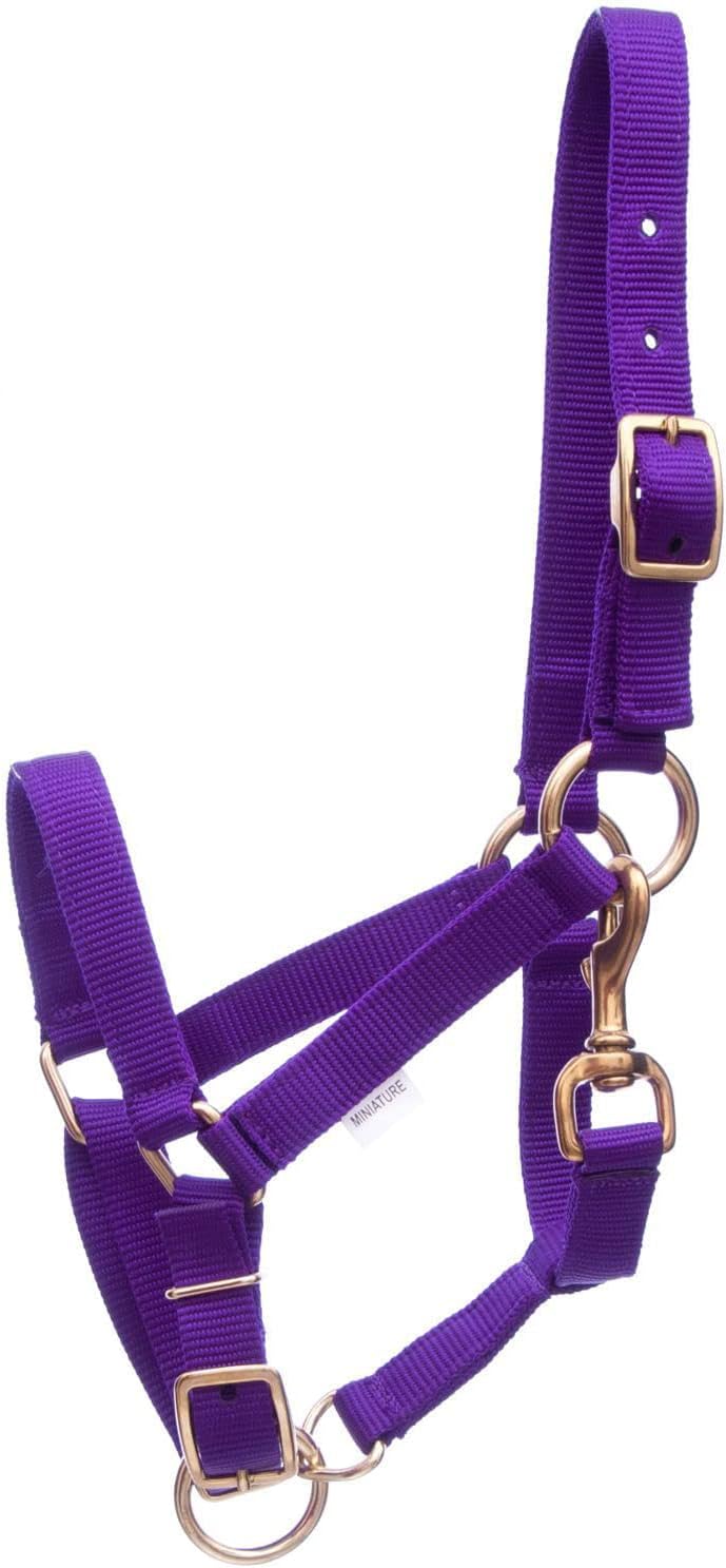 Jeffers Han Lien International 3/4" Nylon Adjustable Horse Halters