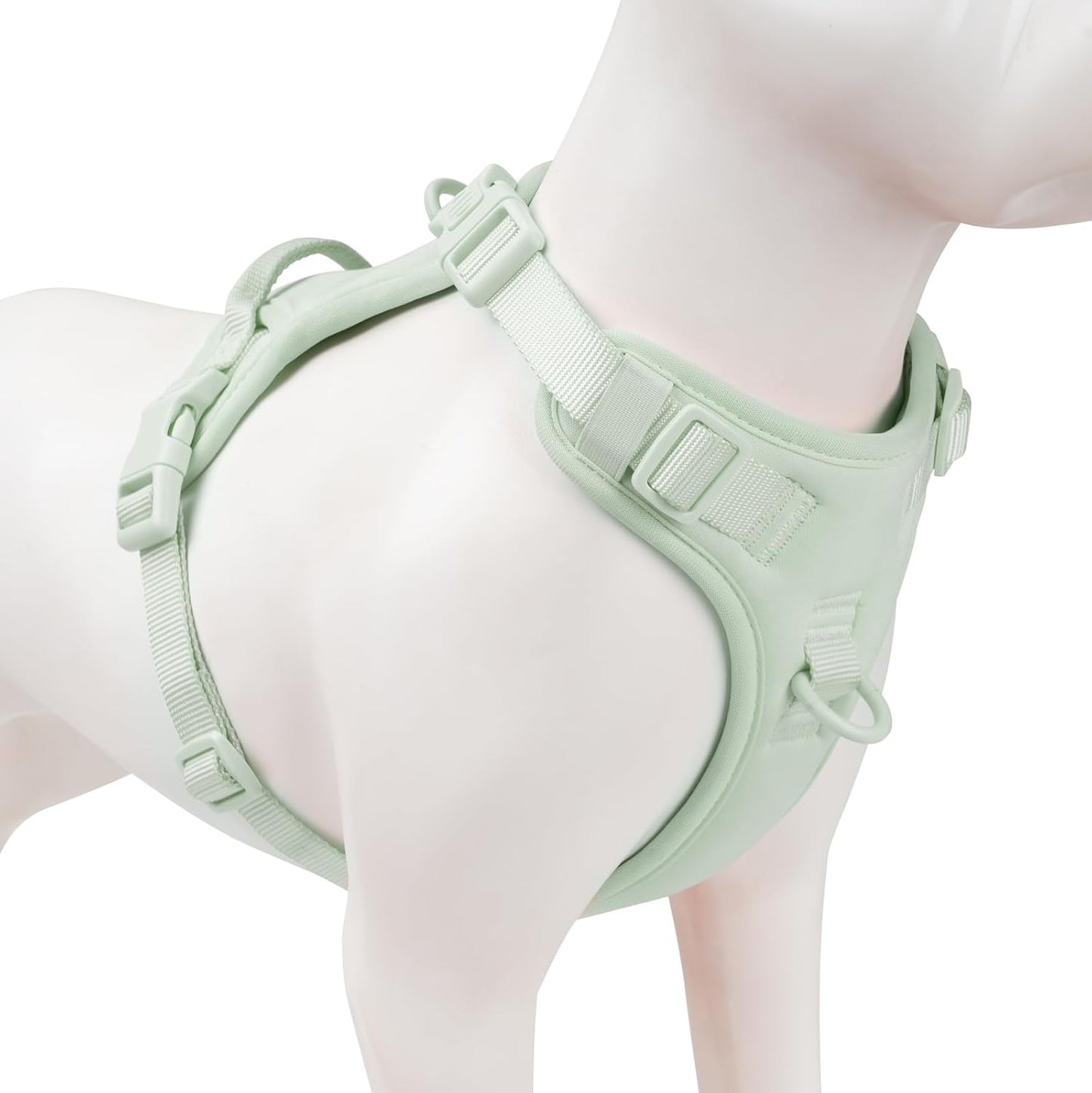 No Pull Dog Harness, Puppy Vest with Front Clip for Small Medium Large Sized Dog(Light Green,XL)