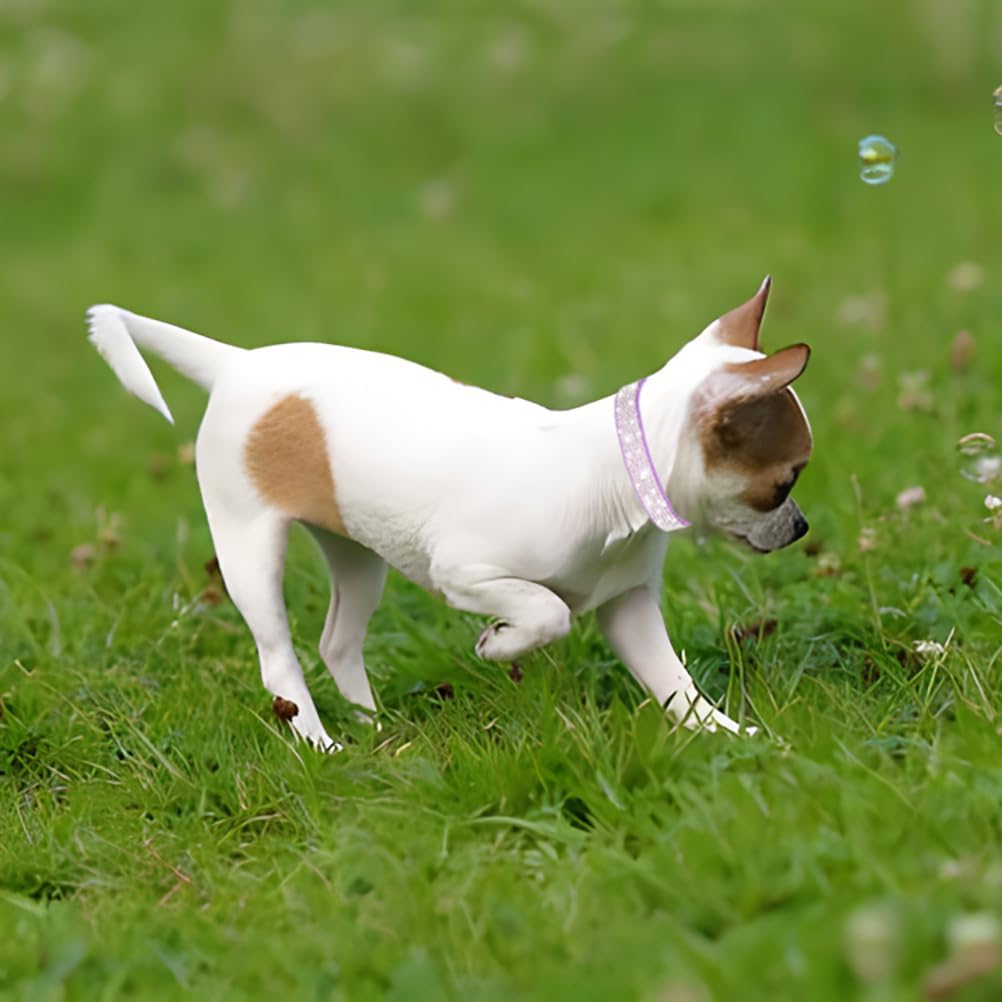 Rhinestone Dog Collar for Small Dogs, Bling Diamond Fancy Crystal Glitter Pretty Jewel Pet Puppy Collars for XXS XS Small Medium Large Breed Girl Dogs Female Cats Kitten, Red M