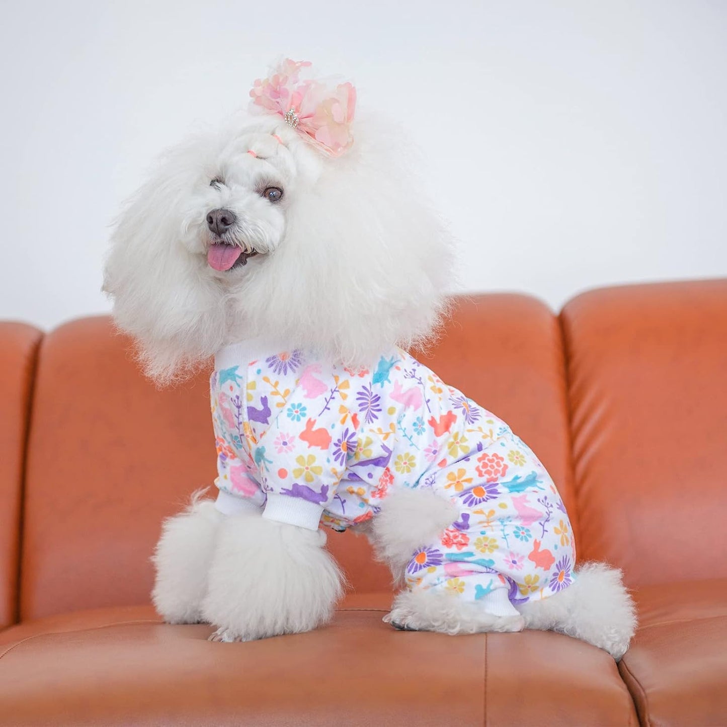 CuteBone Small Dogs Outfit Soft Puppy Onesies Pjs Dog Easter Rabbit Pajamas Pet Coat Cat Apparel Comfy Doggie Jumpsuit Bodysuit for All Seasons P276XL