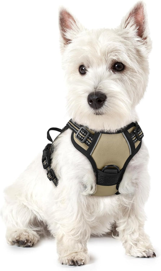 rabbitgoo Dog Harness No Pull with 2 Leash Clips, Adjustable Soft Padded, Reflective Oxford No Choke Pet Vest with Easy Control Handle for Puppy, Beige, XS