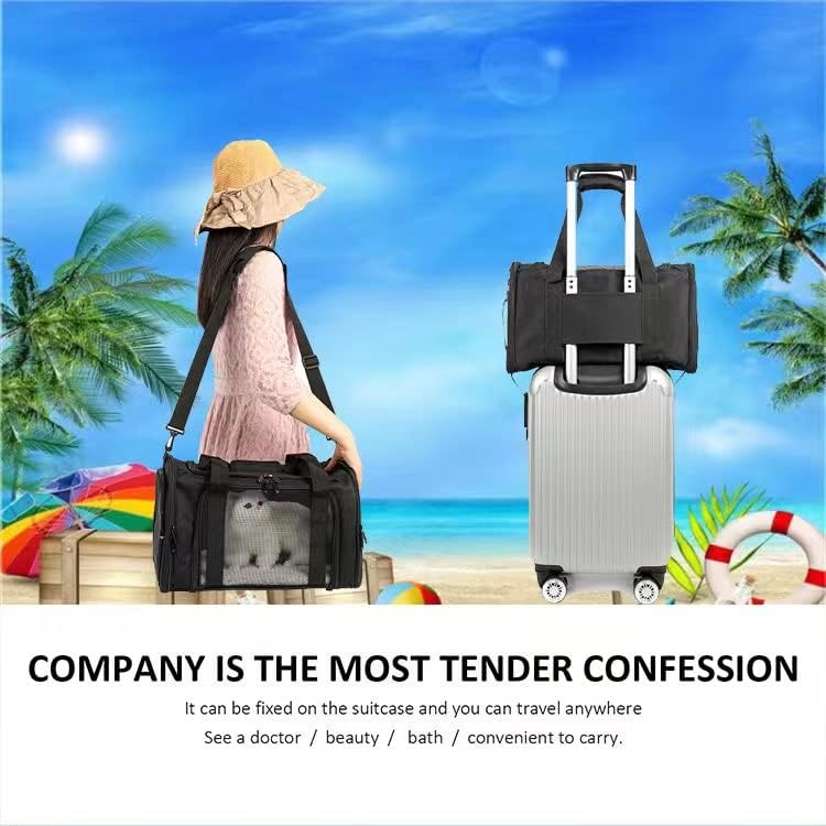 Cat Carrier Dog Carrier Pet Carrier Cat Bags for Small Medium Cats Dogs Puppies of 15 Lbs,of Airline Approved Small Dog Bag Soft Sided,Collapsible Travel Puppy Carrier (Medium, Black)