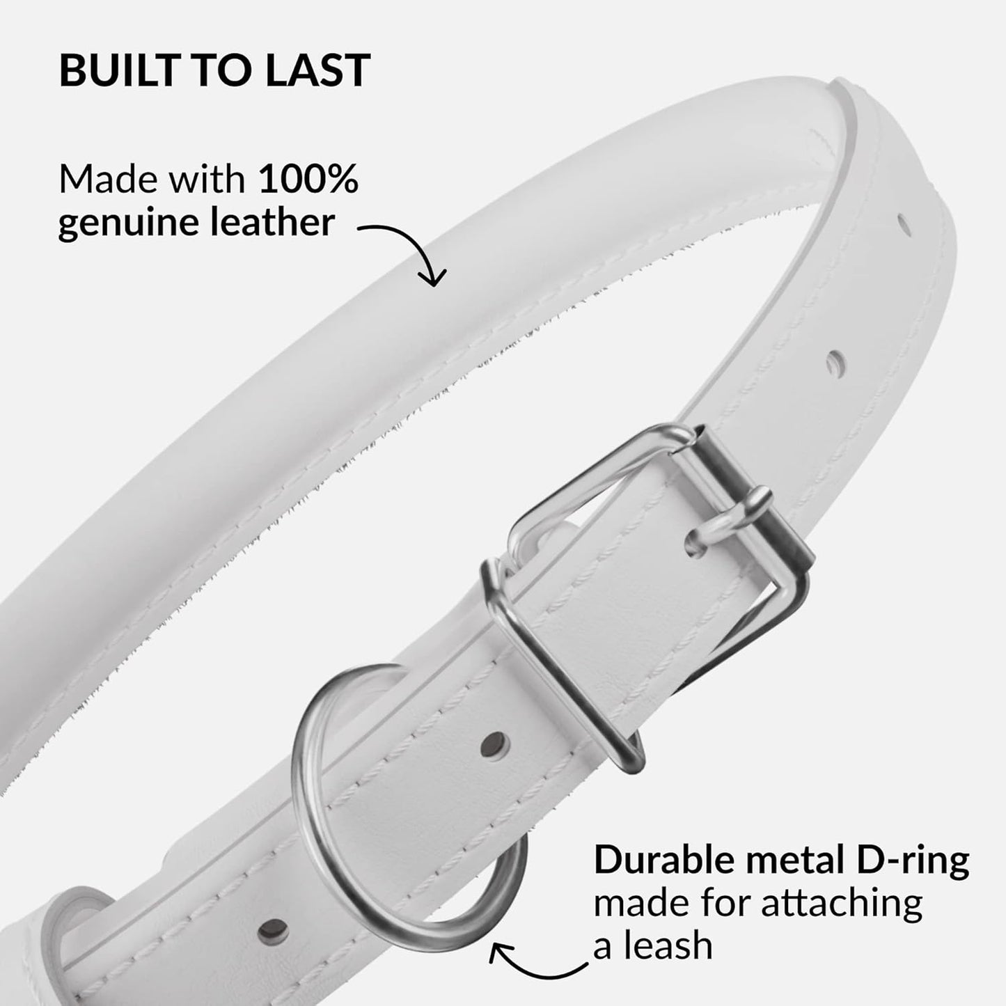 CollarDirect Rolled Leather Dog Collar, Soft Padded Round Puppy Collar, Handmade Genuine Leather Collar Dog Small Large Cat Collars 13 Colors (6 Inch, White Smooth)