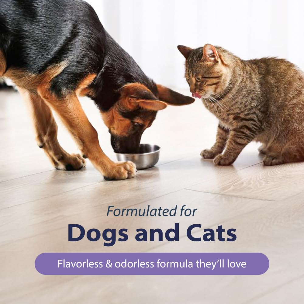 Dental Fresh Advanced Plaque and Tartar Water Additive, 8oz – Dog Teeth Cleaning Formula to Freshen Breath and Improve Overall Oral Health