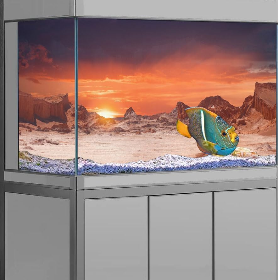 30X18IN Sun and Desert Moon Themed Reptile Habitat on Orange Durable Decorative Background, Terrarium Background with 10EVA Double-Sided Tape