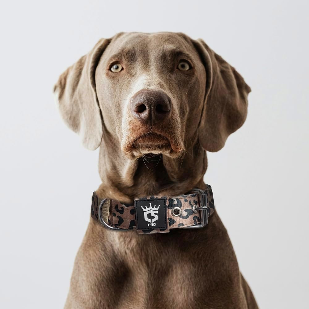 TSPRO Tactical Dog Collar 1.25 Inch Wide Thick Dog Collars with Heavy Duty Metal Buckle, Durable, Strong, Adjustable for Small Dogs (Leopard Print S)