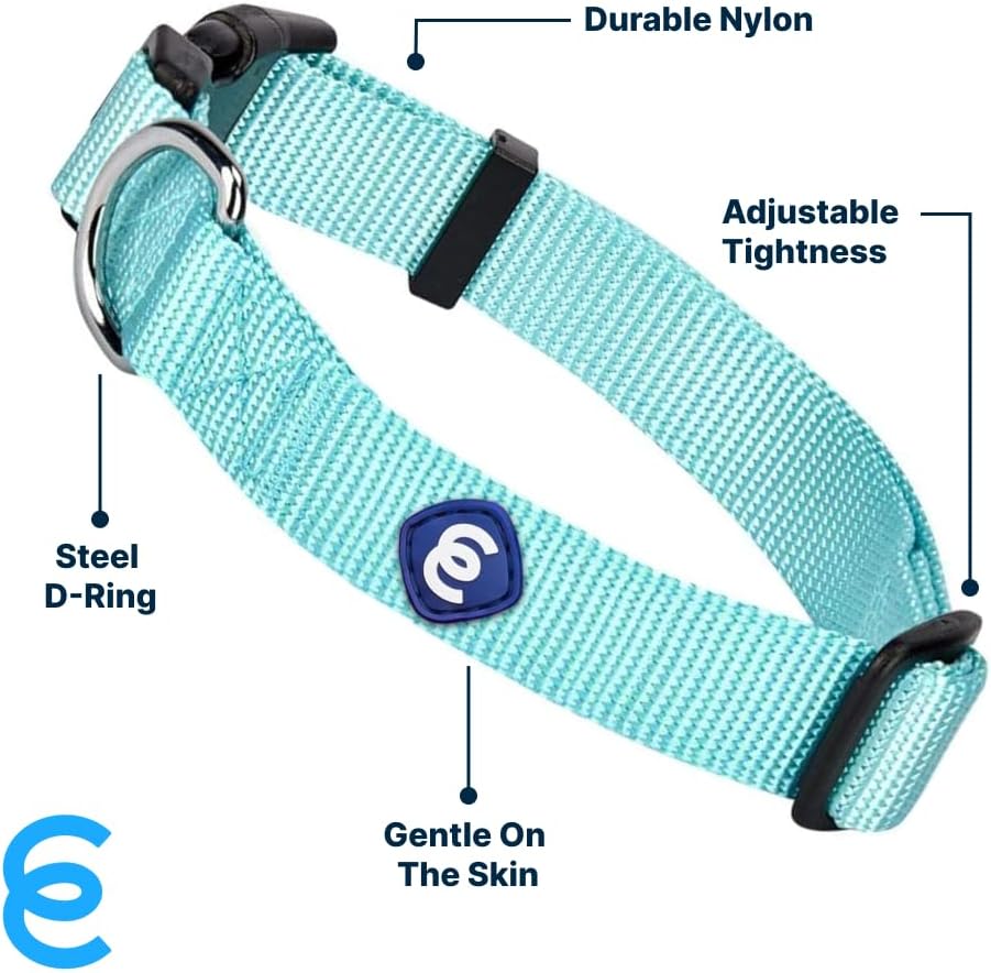 Blueberry Pet Essentials X-Small Dog Collar in Mint Blue | Adjustable & Eco-Friendly Durable Nylon Strap | Classic Collar for X-Small Dogs, Boy & Girl Pets