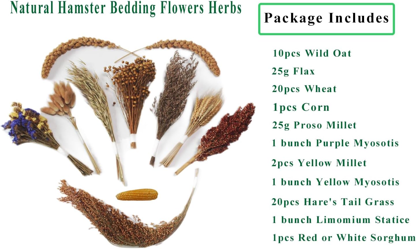 Natural Hamster Bedding - Flowers, Herbs, Sprays, Treat Cereal Grain for Cage Habitat Enclosure Decor - Hamster Chews for Dwarf Syrian Gerbils, Mice, Rat Forage - Pet Accessories