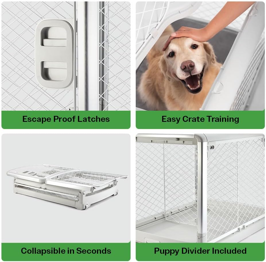 DIGGS Revol Collapsible Dog Crate with Wheels - Premium Portable Dog Crate - Safe, Stylish, and Convenient Indoor Kennel (Ash, Large)
