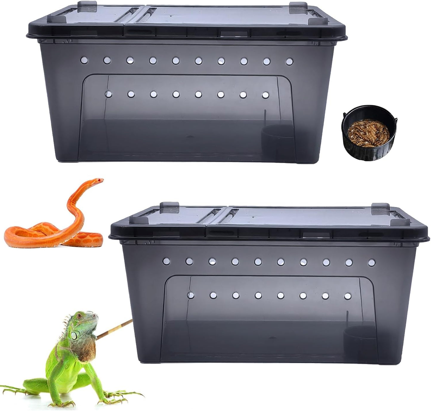 PINVNBY Reptile Enclosure Terrarium 2-Pack - 12.6"x8.7"x5.9" Multi-Purpose Transparent Plastic Habitat Cage for Gecko Scorpion Spider Snake Breeding Feeding & Cricket Keeper with Ventilated Lid, Black