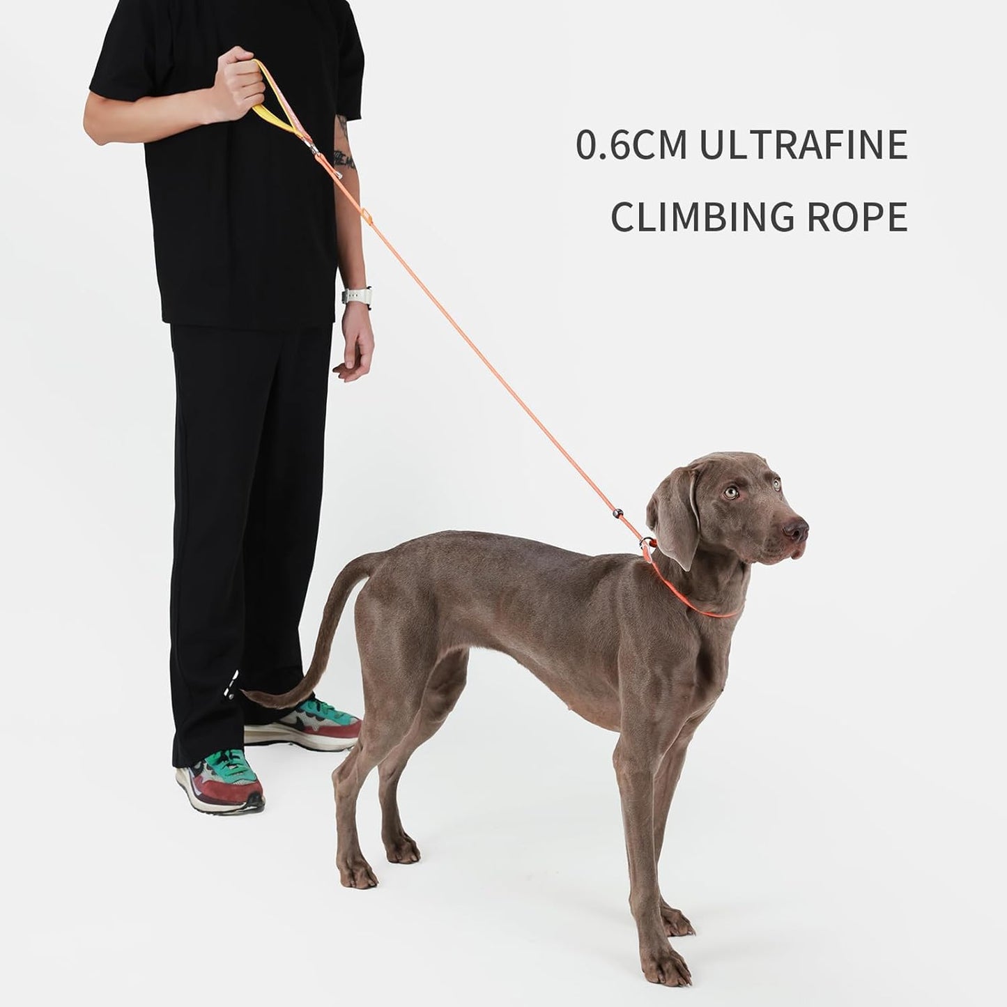 Dog Anti-Slip Leash 5FT with Metal Stopper - Durable No-Pull Training Lead for Small, Medium & Large Dogs - Comfortable Handle Nylon Rope, Tangle-Free Pet Walking Leash (Orange, 5.6FT)