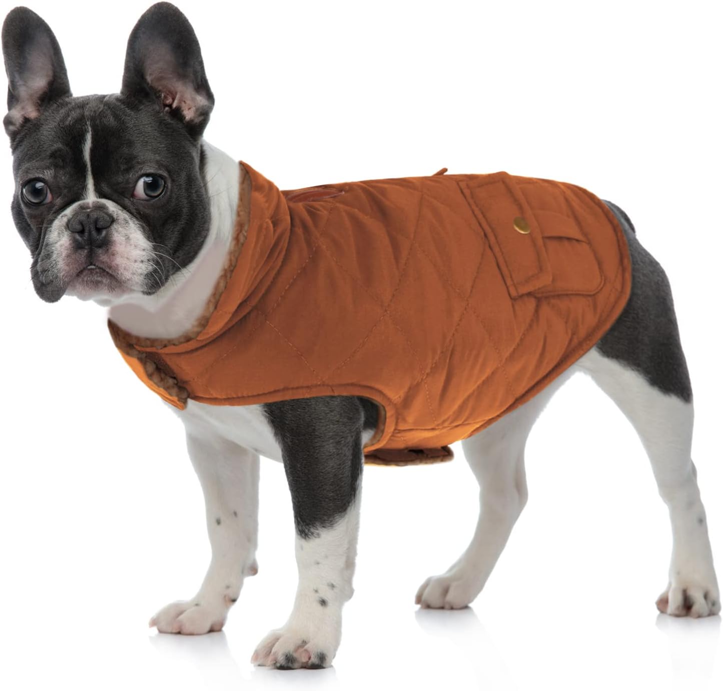 Queenmore Warm Dog Coat, Cold Weather Puffer Dog Jacket with Ultra Thick Plush Lining and Storage Pockets (Brown, Medium)