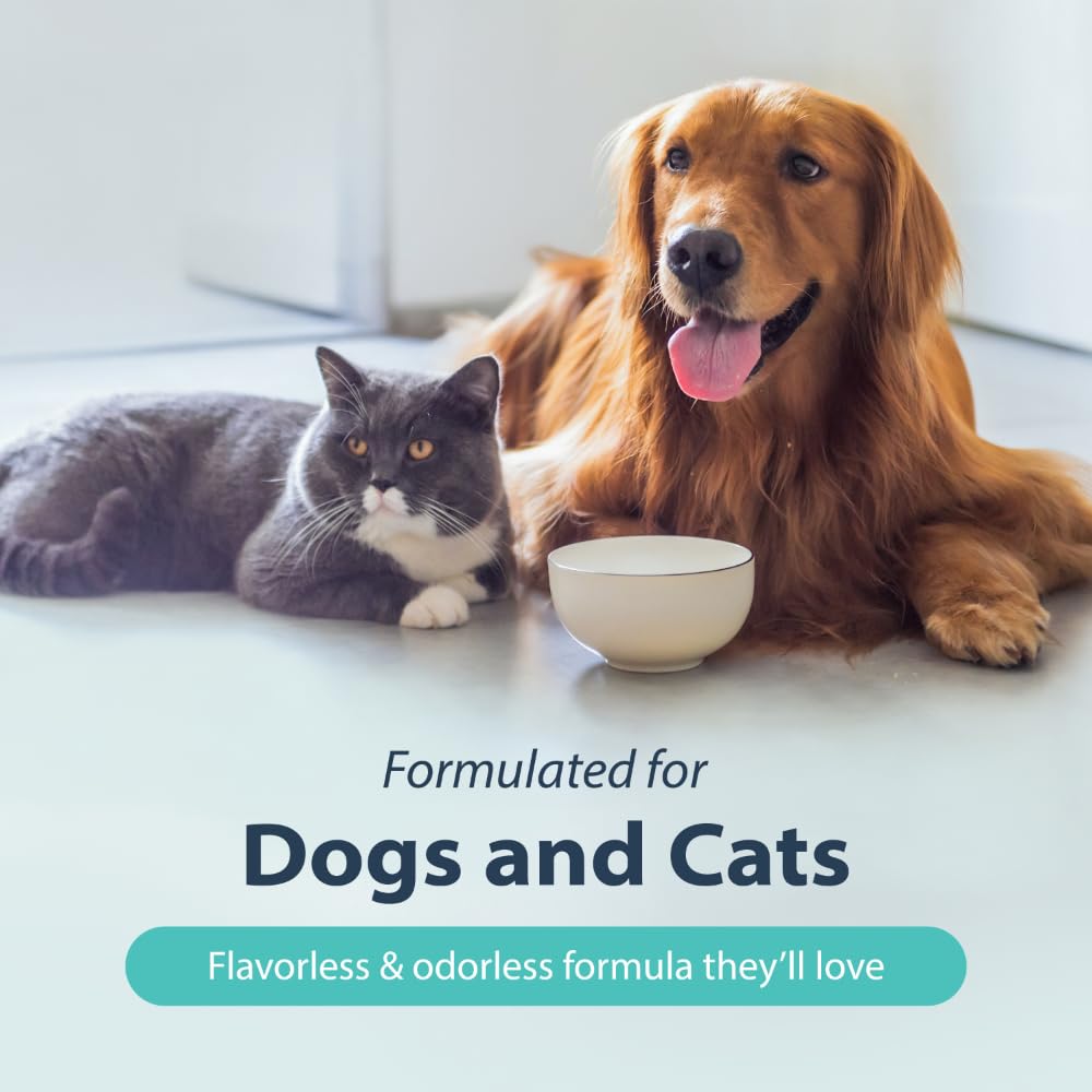 Dental Fresh Water Additive for Dogs, Original Formula, 32oz – Dog Breath Freshener and Dog Teeth Cleaning for Dog Dental Care– Add to Water