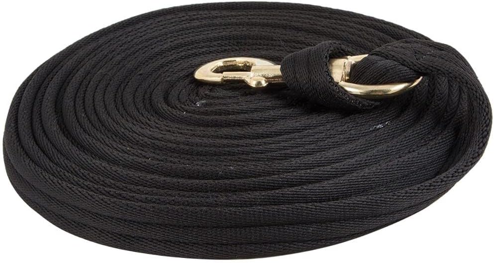 Dura-Tech Cushion Lunge Line for Horses | Stable Use & Horse Training | Horse Lunge Line with Snap | Durable Horse Lead Rope | 30 Foot Length | Replaceable Brass Snap