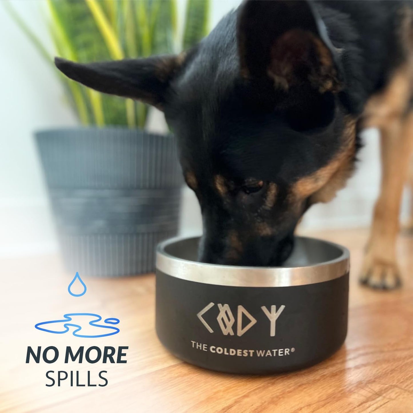 Coldest Dog Bowl - Anti Rust Metal, Non Slip, 3 Layers Insulated Stainless Steel Dog Bowls - Spill Proof & Heavy Duty - Water Bowl for Dogs, Cats & Pets, Dish Washer Safe (200 oz, Galaxy Purple)