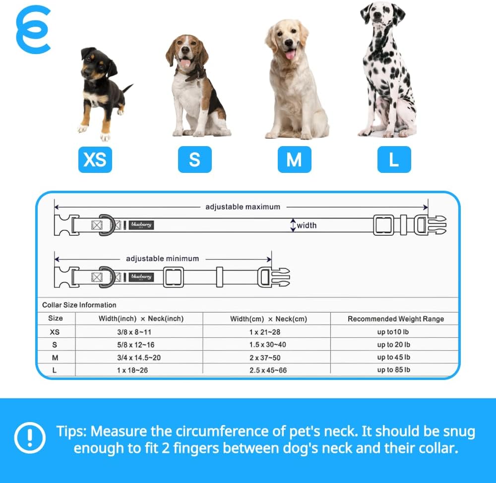 Blueberry Pet Essentials Matching Large Dog Collar | Adjustable Classic Solid Color Nylon Dog Collars for Large Dogs | Violet Dog Collar for Large Dogs