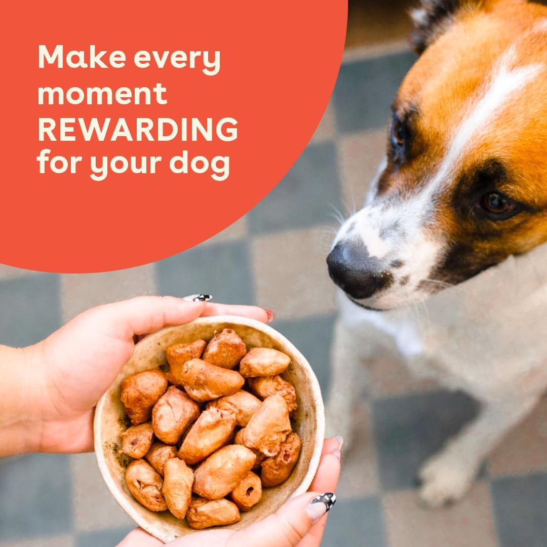 Pupford Freeze Dried Chicken Hearts Treat for Dogs & Puppies - Healthy, Natural, Single Ingredient Dog Treats - Made in USA (2.75 oz)