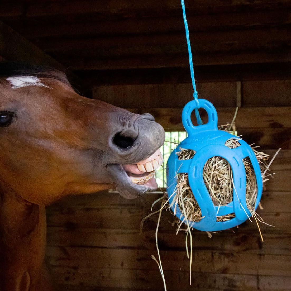 Horsemen's Pride Jolly Hay Ball Stall Toy for Horses, Blue, 8"