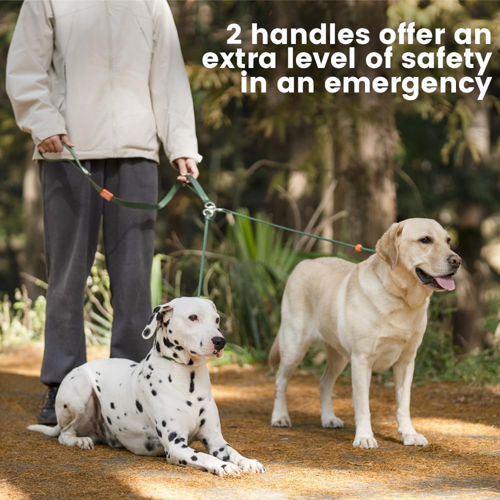 Howgo Double Slip Leash Slip Lead with Two Handles| Dual Dog Slip Lead for 2 Dogs,360° Swivel No Tangle | Dog Training Collar | Double Clip Leash Coupler and Splitter (Multicolor, 6FT)
