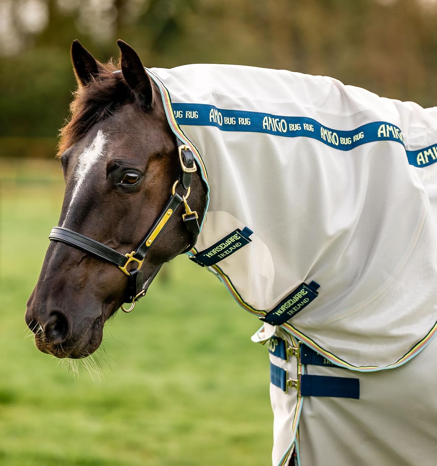 Horseware® Amigo® Bug Rug Fly Sheet (0g Light)