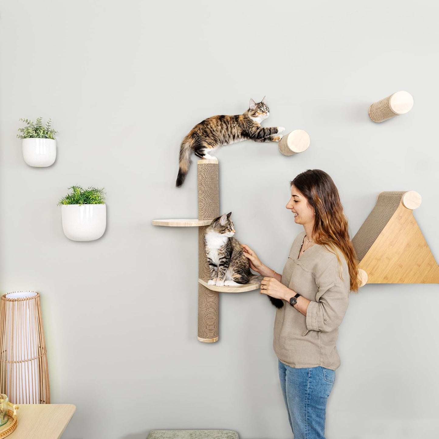 Cat Climbing Wall System – Modern Floating Shelves & Perches for Cats - Sunrise Steps | Ascentials by FurHaven
