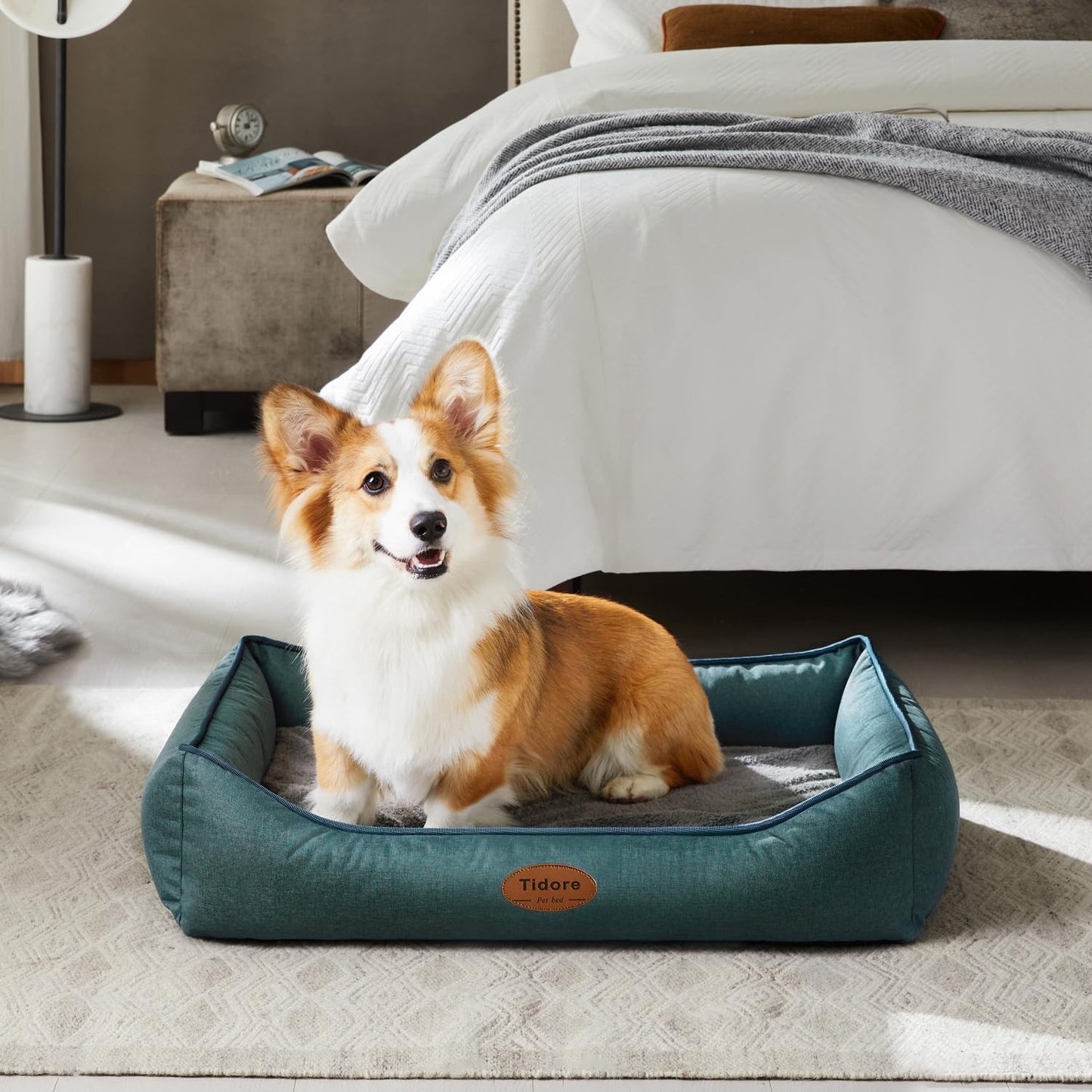 Orthopedic Dog Beds for Medium Dogs, Durable Egg Crate Foam Sofa Dog Bed wit Washable Removable Cover,Waterproof Lining,Pet Bed for Large Dogs (Olive Green, 31.5" L x 25.2" W x 7" Th)