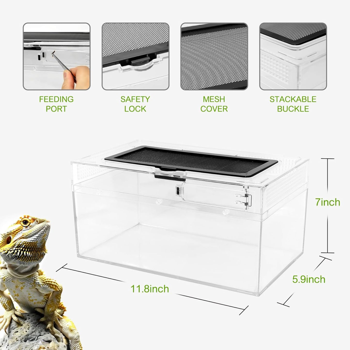 Reptile PC Terrarium Amphibian Tank Spider Enclosure Snake Cage 7x11.8x5.9inch Suitable for breeding Leopard Gecko,Frog,Hermit Crab,Lizards,Isopod,Tarantula,Turtles,Chameleons,Jumping Spiders