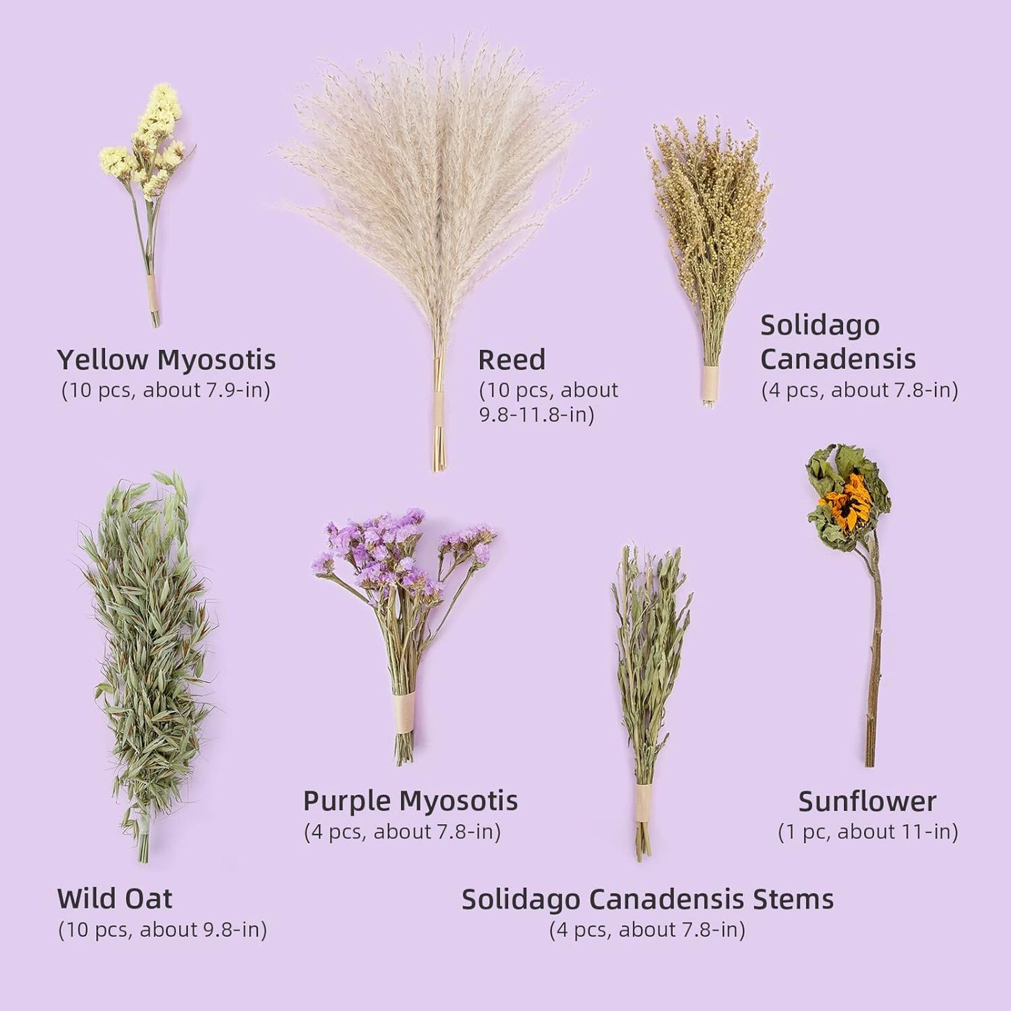 Niteangel Natural & Soft Hamster Bedding Mate Small Animal Habitat Decor for Syrian Dwarf Hamsters Gerbils Mice Degus Bunny or Other Small-Sized Pet (Flower Version)