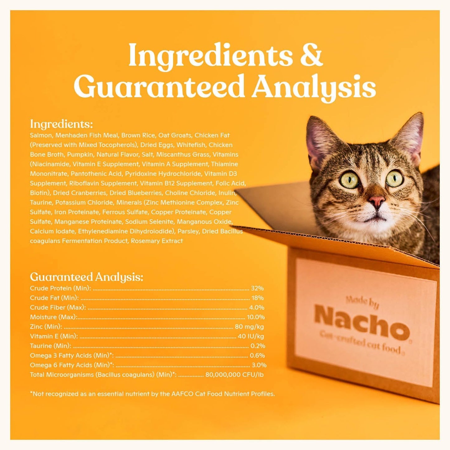 Made by Nacho Dry Cat Kibble 2lb Bag, High Protein and Grain-Friendly Premium Cat Food, Sustainably Caught Salmon and Pumpkin, Infused with Bone Broth for Hydration, Limited Ingredients, Single Bag