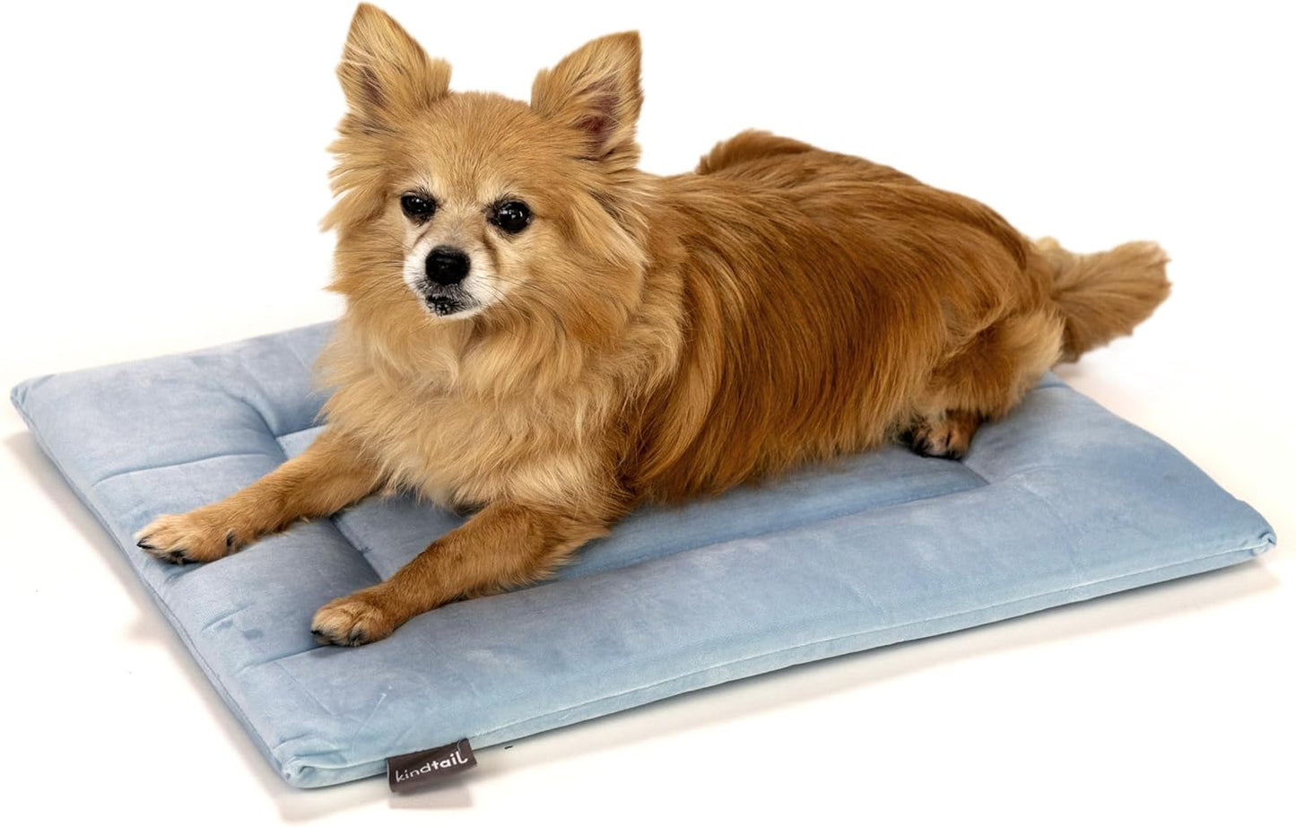 KindTail Dog Crate Pad - Soft Velvet, Reversible Bed - Machine Washable Kennel Mat for Pets up to 15 lbs, Mattress for Cozy Sleeping - 20” x 15” x 1” (Light Blue, Small)