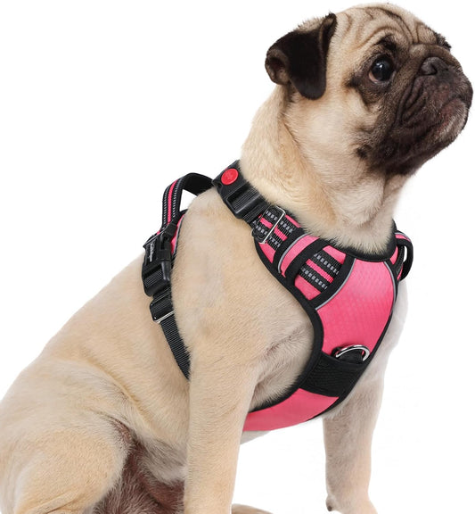 rabbitgoo Dog Harness Small Sized, No Pull Dog Vest with 3 Buckles, Adjustable Soft Padded Pet Harness with Easy Control Handle and Reflective Strips, Pink, S
