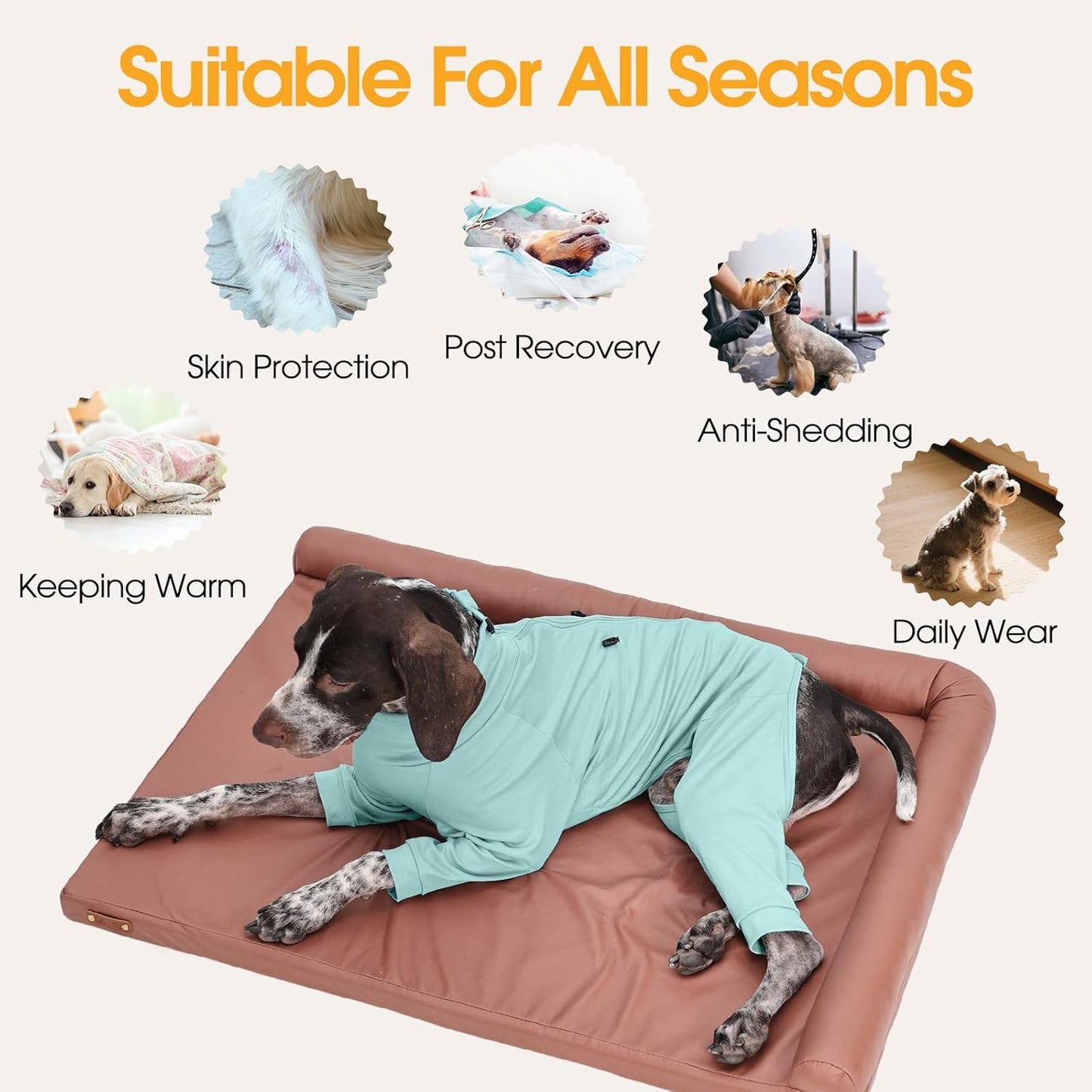 Dog Pjs for Large Breed with Zipper Back, Adjustable Long Sleeve Dog Recovery Suit for Dogs After Surgery, Soft Pet Shedding Suit E-Collar Alternative, Labrador, Golden Retriever, Green 2XL