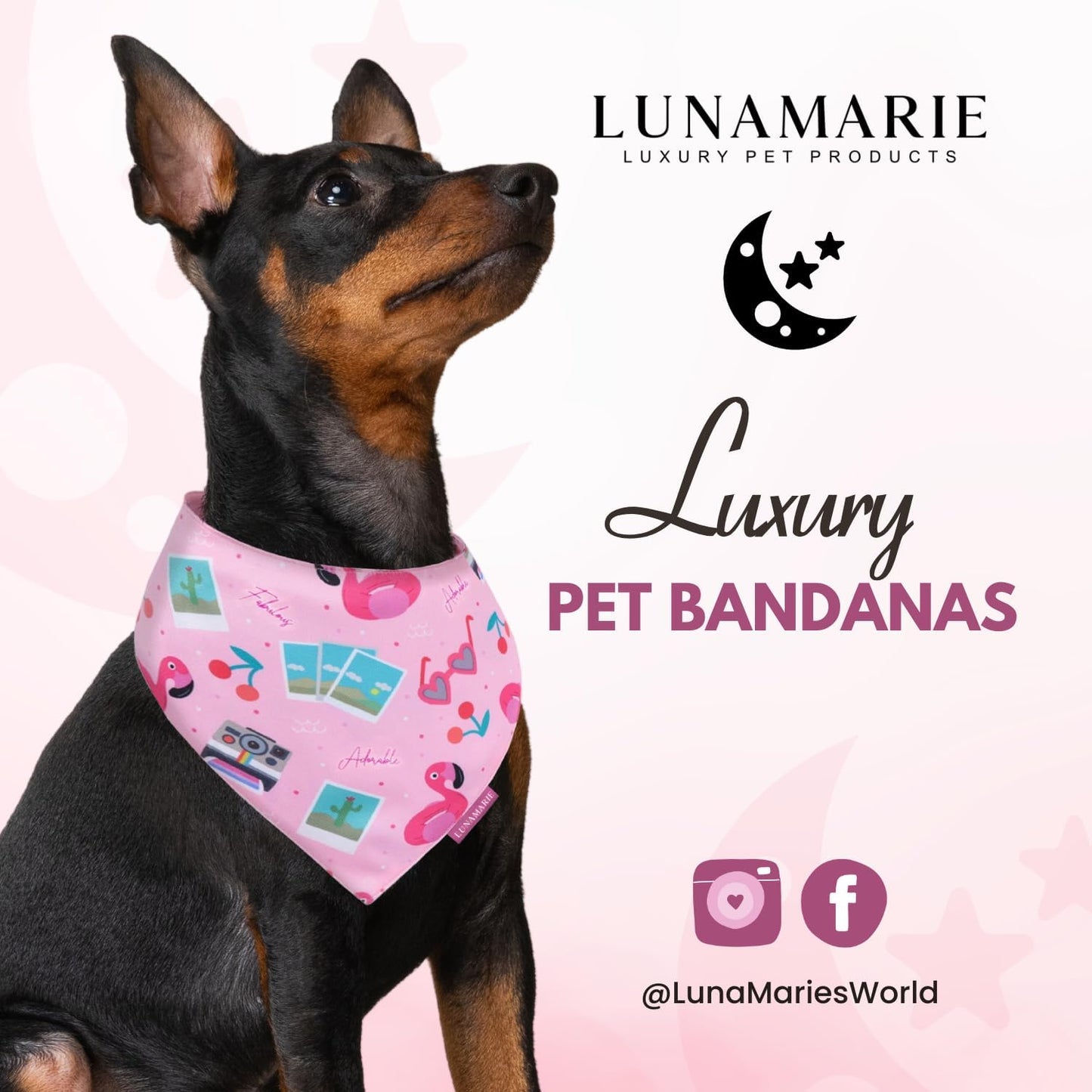 LunaMarie - Luxury Pet Birthday Bandanas -Premium & Silky Poly Fabric | 100% Handmade | Custom Shape Dual Layered (Summer Vibes, Large)
