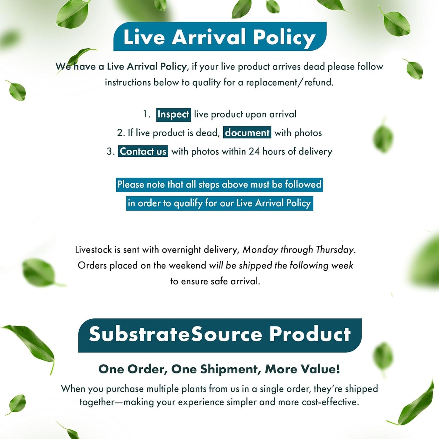 SubstrateSource Live Aquarium Stem Plants - Freshwater Aquatic Plant for Fish Tanks, Aquascaping - (Alternanthera Reineckii Variegatus, 1 Bunch)