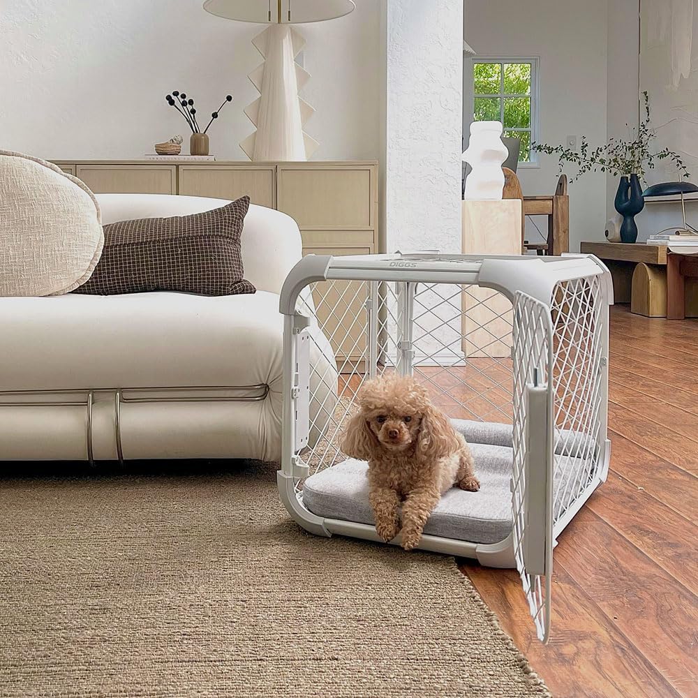 DIGGS Evolv Dog Crate - Slim, Durable Dog Kennel with Removable Ceiling Panel and Modular Design - Safe, Stylish, and Convenient (Ash, Small)