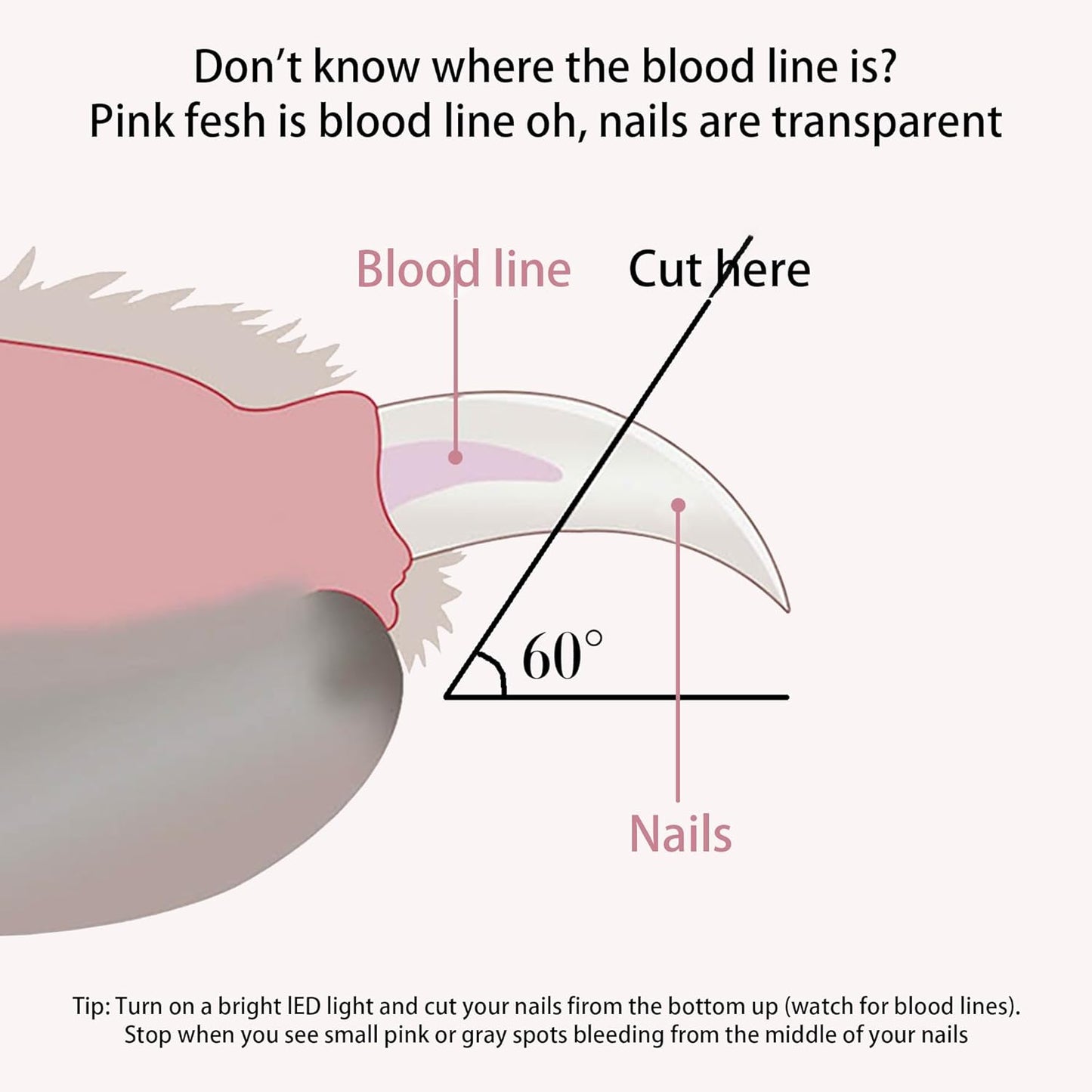 Pet Nail Clippers with LED Lights cat Nail Clippers for Indoor Cats Nail Trimmer Clippers for Small Dog Nail Trimmers Cats Rabbits Nail Clippers Bird Kittens (Blue)