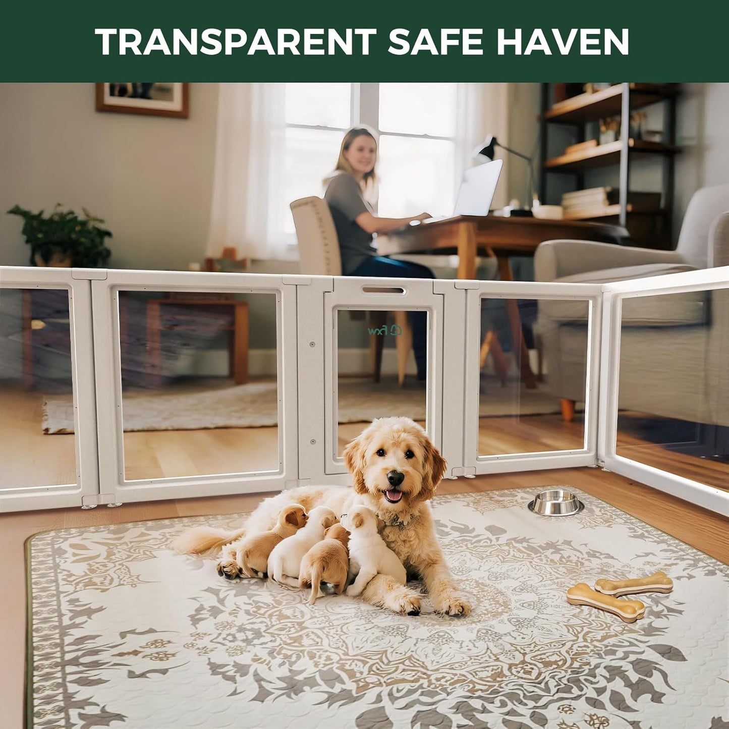 FXW AuraSpace Acrylic Indoor Unleashed Dog Playpen for Puppies and Small Dogs, 24 Inch, 10 Panels, White