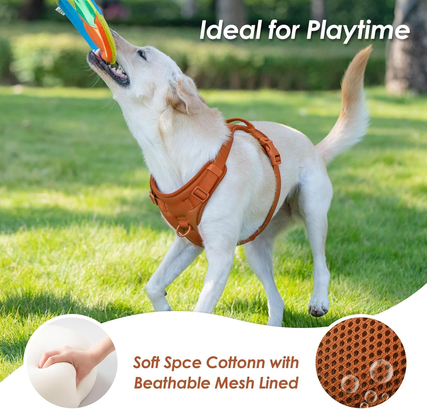 No Pull Dog Harness, Puppy Vest with Front Clip for Small Medium Large Sized Dog(Carmel Brown,L)