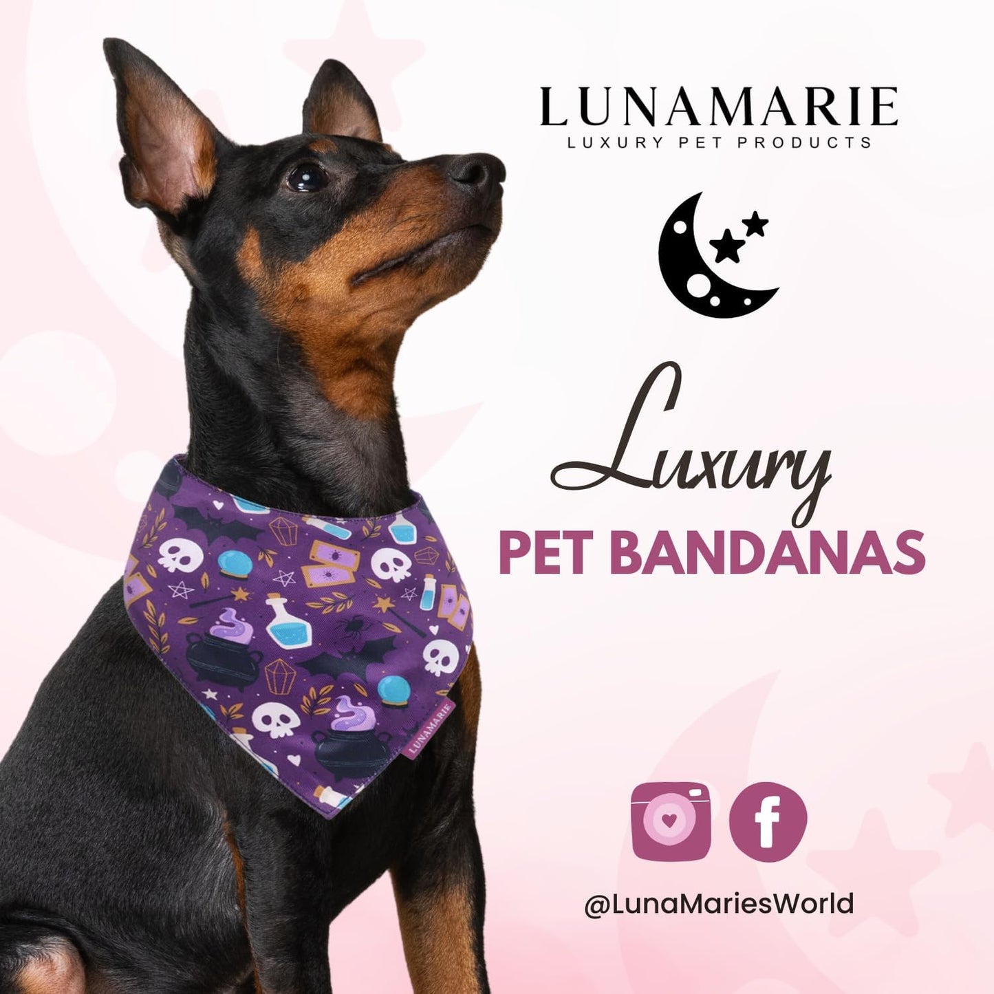 LunaMarie - Luxury Pet Birthday Bandanas -Premium & Silky Poly Fabric | 100% Handmade | Custom Shape Dual Layered (Bewitched, Large)