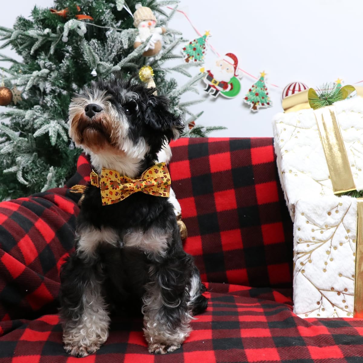 Lionet Paws Thanksgiving Day Dog Collar with Bowtie, Dogs Bowtie Collar with Metal Buckle for Dogs and Cats, Adjustable Comfortable Turkey Dog Collars Girl Boy, S, Neck 10-16 in