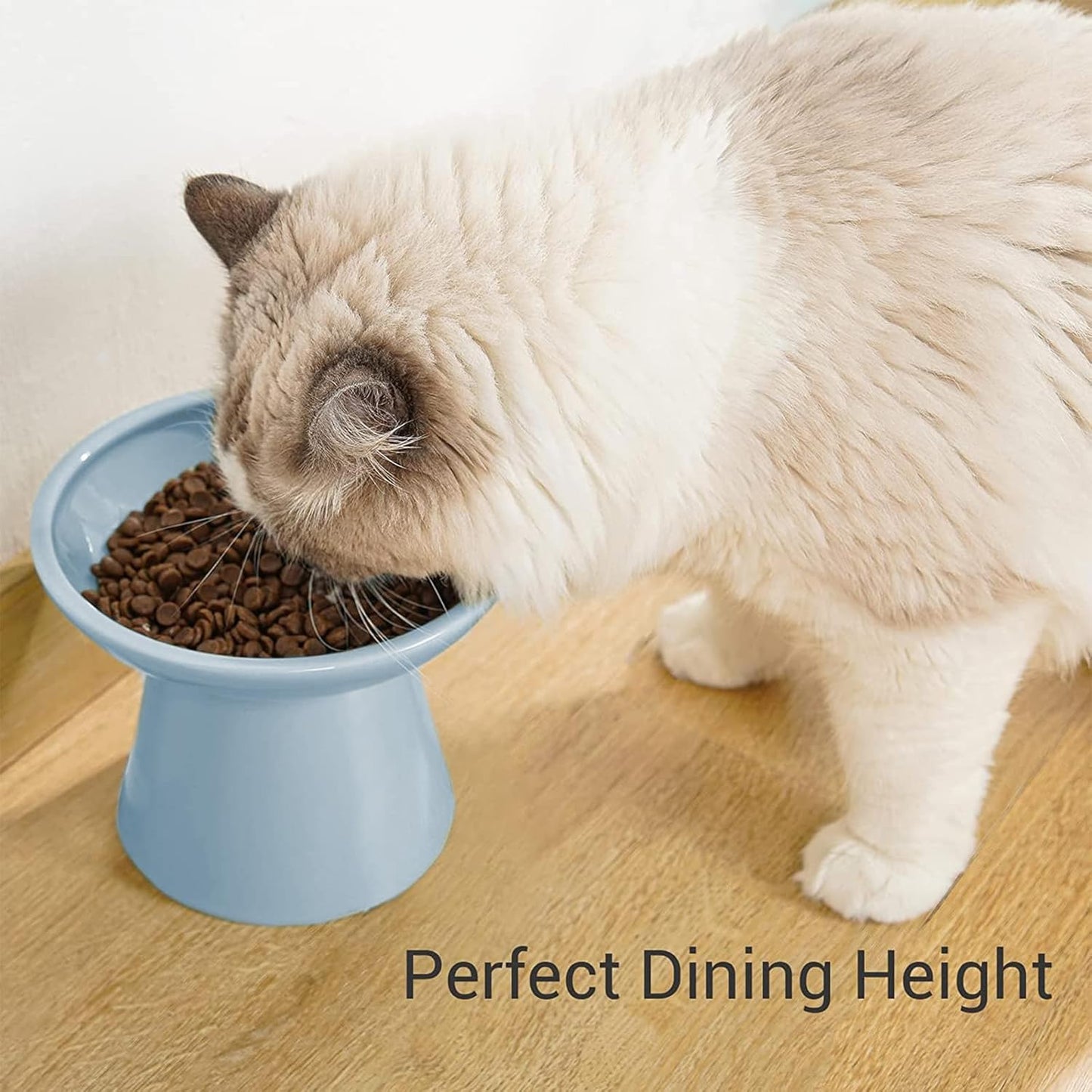 Extra Wide Elevated Ceramic Cat Food Bowl - 6.2" Shallow Dish for Whisker Fatigue Relief, 5" Height for Easy Feeding, Lead & Cadmium Free, Durable Raised Cat Food Bowls, Blue