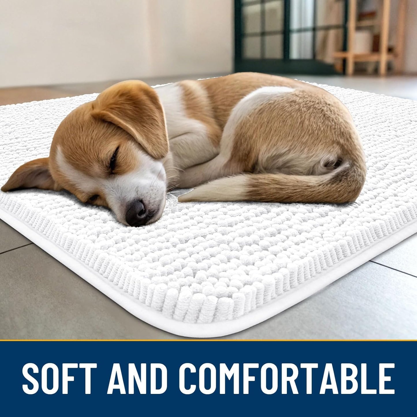 Smiry Dog Door Mat for Muddy Paws 24x16, Absorbs Moisture and Dirt Doormat, Non-Slip Washable Quick Dry Chenille Front Door Mat Indoor Entrance, Entryway Carpet for Inside Floor, White