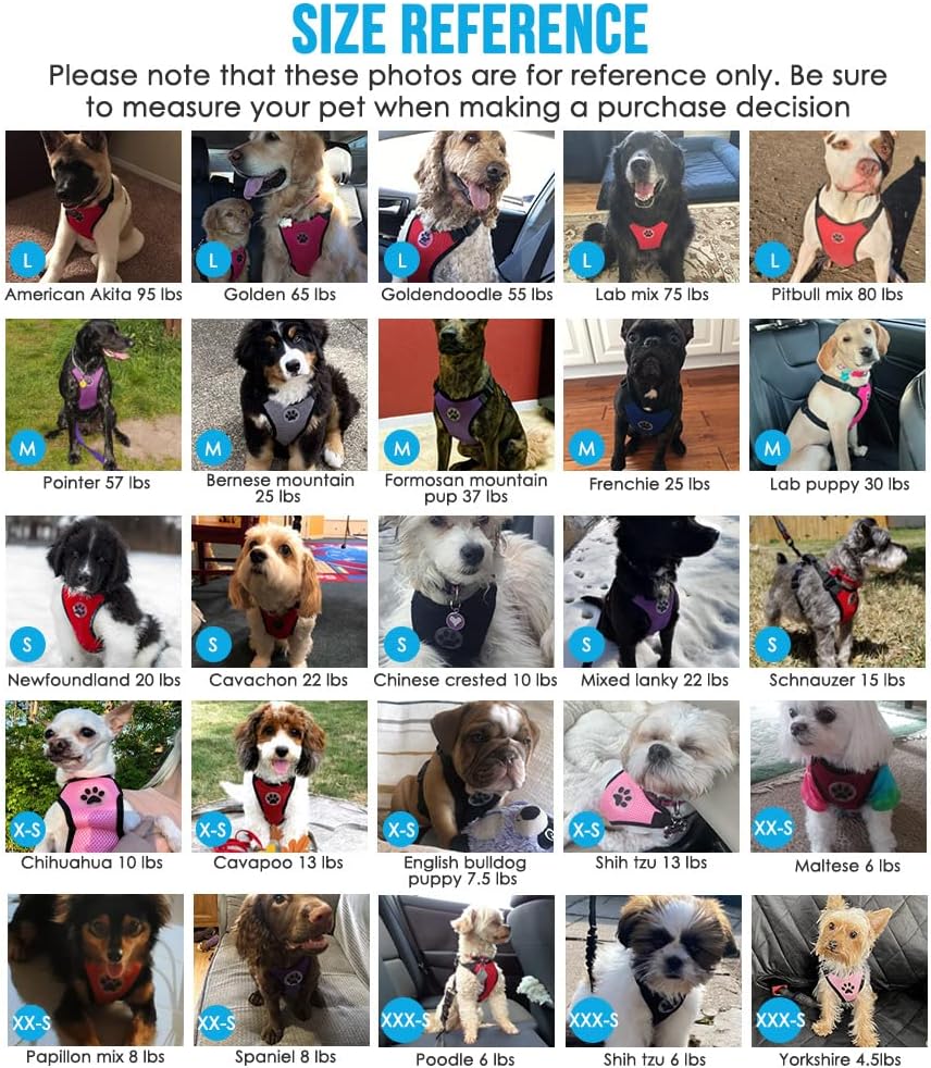 Lukovee Dog Seat Belt for Car, Adjustable Dog Car Harness for Large Medium Small Dogs, Soft Padded & Breathable Mesh Dog Seatbelt with Car Vehicle Connector Strap (Black,X-Small)