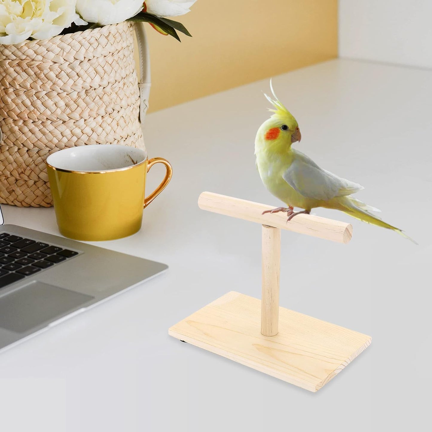 Bird Perch Stand, Bird Training Portable Tabletop Platform, Parrot Bird Cage Toy Gym Accessories for Parakeets Cockatiels, Conures, Macaws, Finches Lovebirds