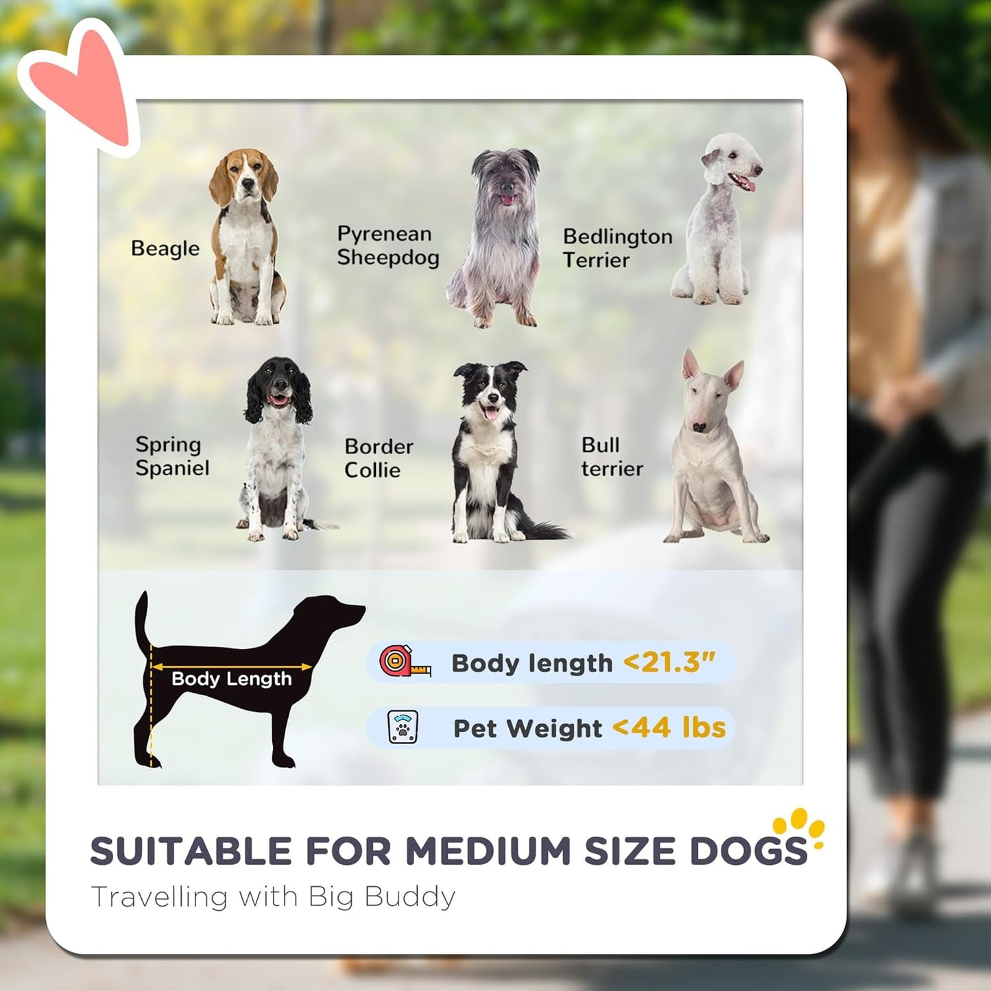 PawHut Dog Stroller, Pet Stroller 3 Wheels with Easy One-Hand Fold, Rubber Wheels, Storage Bag, Soft Cushion, Safety Leash, for Small & Medium Dogs, Yellowish Green