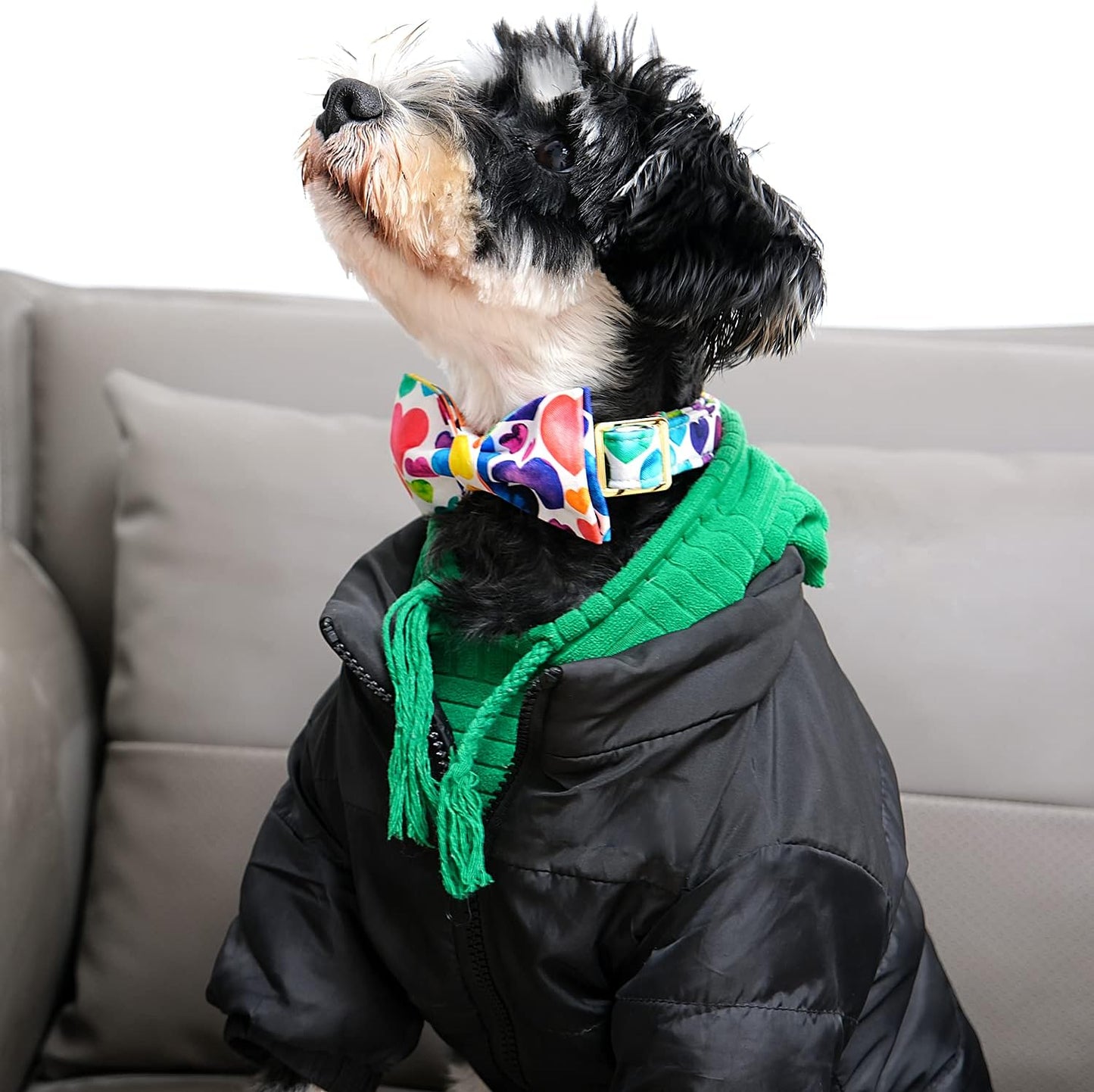 Lionet Paws Valentine's Day Dog Collar with Bowtie, Soft and Comfortable, Adjustable Collar for Large Dogs, Neck 16-24 inches