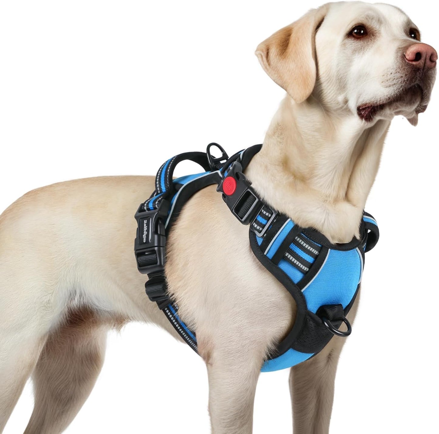 rabbitgoo Dog Harness for Large, No Pull Pet Harness with 3 Buckles, Adjustable Soft Padded Vest with Control Handle, Walking Reflective Pet Vest for Large Dogs, Sky Blue, L