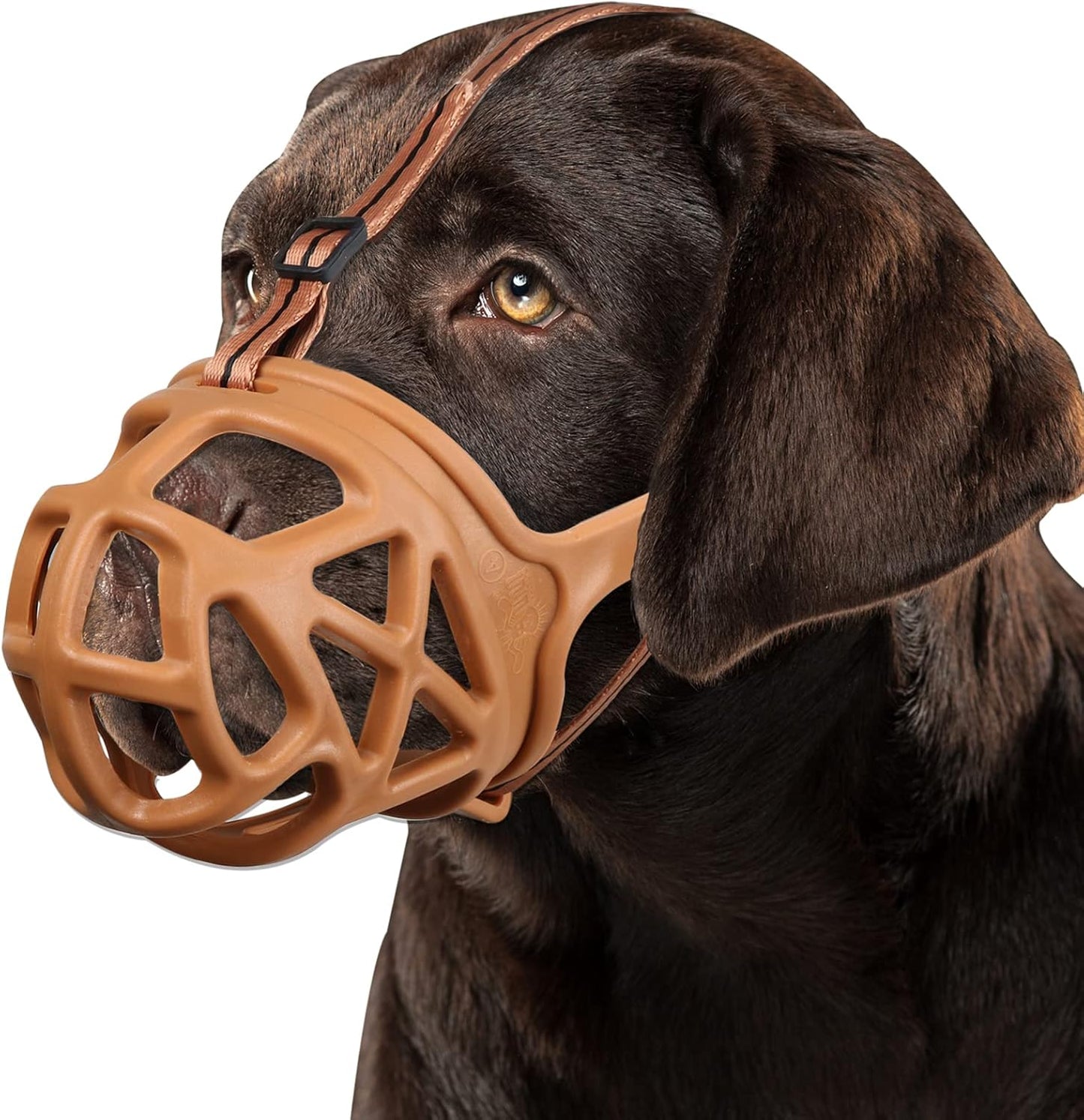 BARKLESS Dog Muzzle, Basket Muzzle for Biting, Chewing and Scavenging, Humane Cage Mouth Cover, Perfect for Grooming and Training Small Aggressive Reactive Dogs (XS, Brown)
