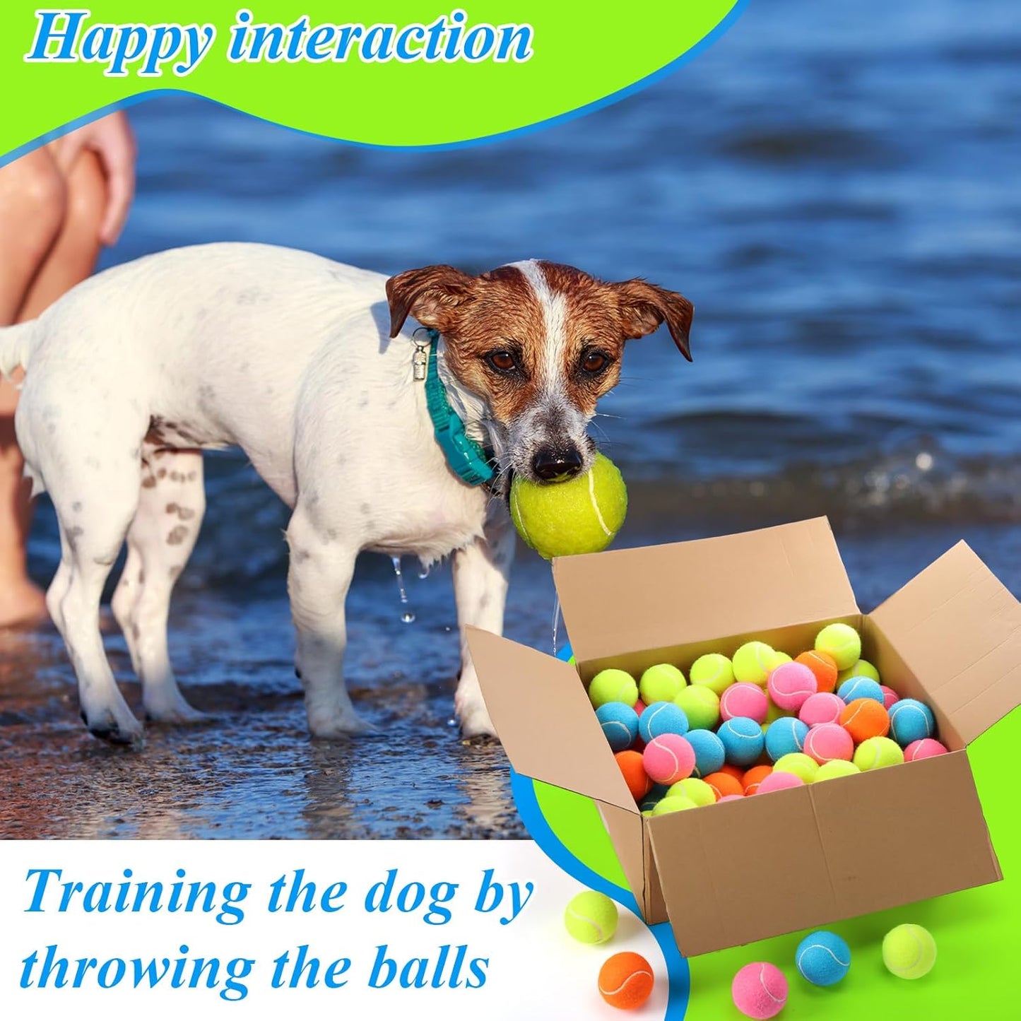 Skylety 100 Pcs 2.5 inch Squeaky Tennis Balls Bulk for Dogs Bouncy Floatable Tennis Balls Dog Playing Supplies Training Interactive Fetch Toys for Small Medium Puppy Exercise and Practice (Multicolor)
